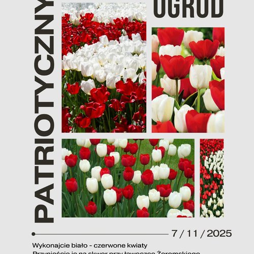 Obraz główny aktualności o tytule Patriotyczny ogród 